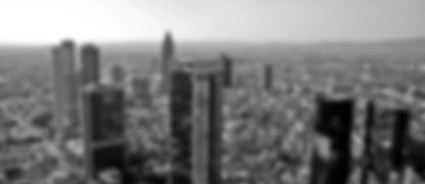 Frankfurt Skyline grey unsharp